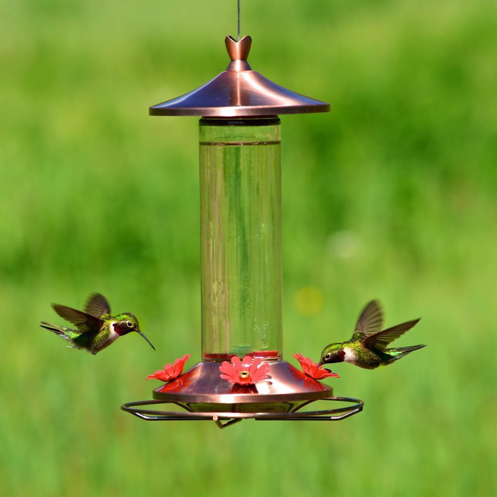 Woodstream 710B Copper Clear Glass Bottle Hummingbird Feeder with Bee Guard