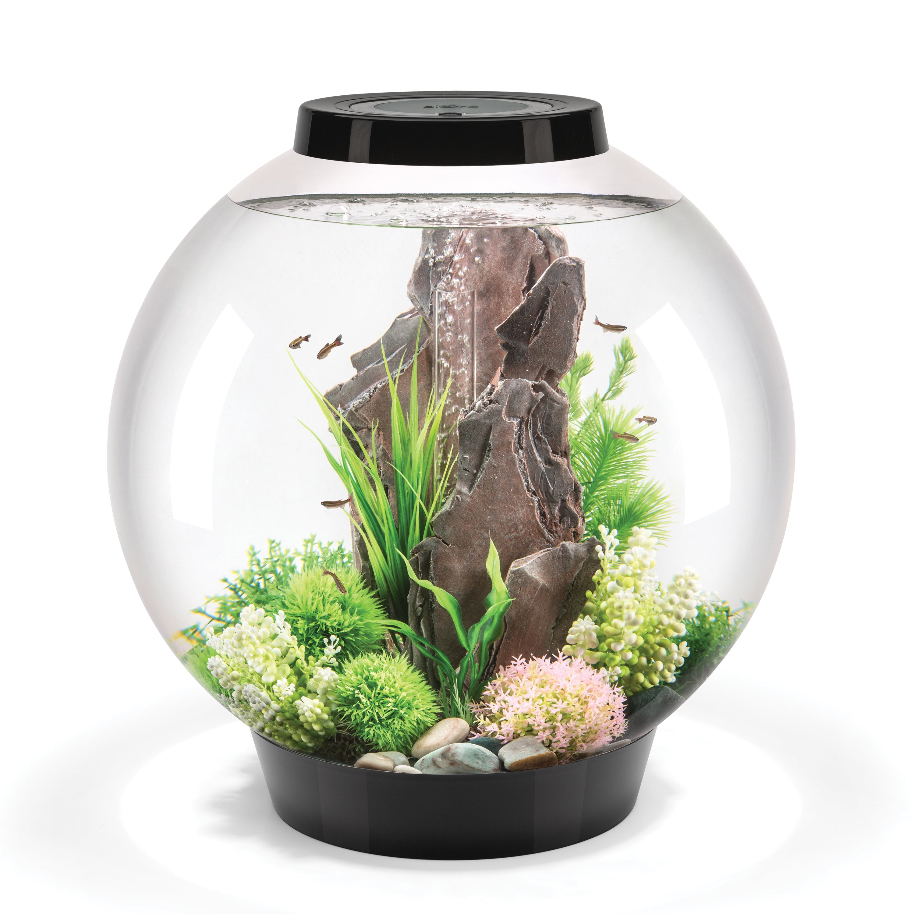 biOrb Classic 60 Aquarium with Standard Light， 16 Gallon， Black