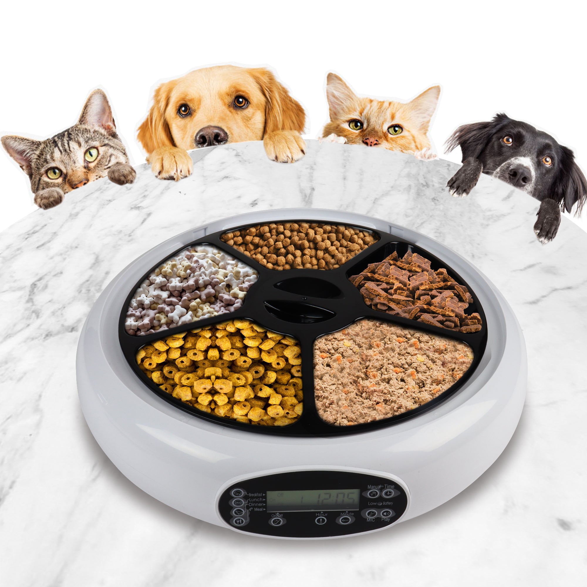 Lentek Programmable Five Meal Pet Dish with Voice Message， White