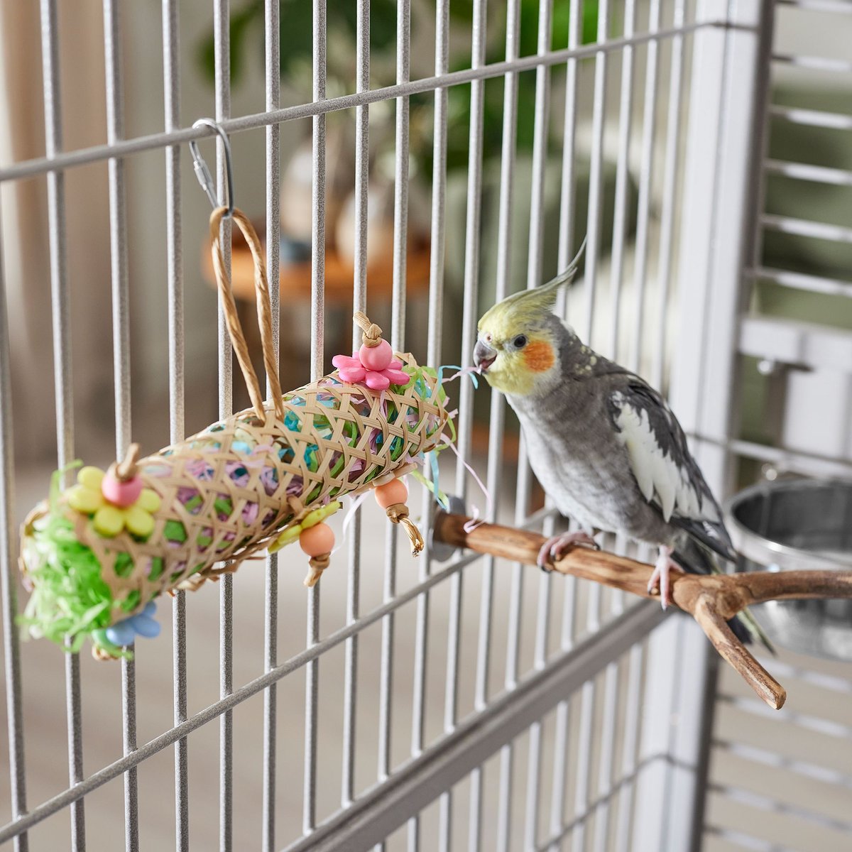 Frisco Flower Net Bird Foraging Toy