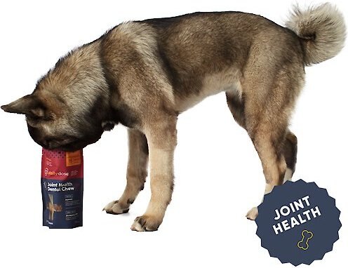 dailydose Joint Health Dental Chews for Small Dogs， Under 22 lbs