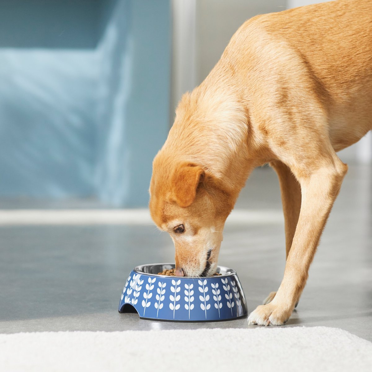 Frisco Leaf Design Stainless Steel Dog and Cat Bowl