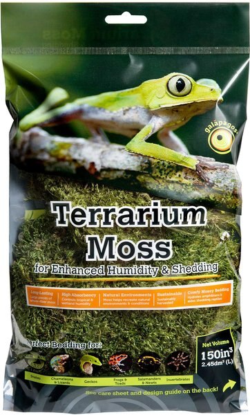 Galapagos Pillow Moss Reptile and Amphibian Terrarium Moss， Fresh Green