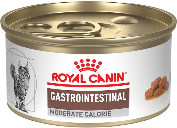 Royal Canin Veterinary Diet Adult Gastrointestinal Moderate Calorie Thin Slices in Gravy Canned Cat food