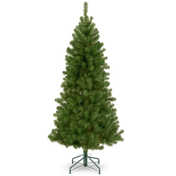 National Tree Company Canadian Grande Fir Tree，7.5 feet