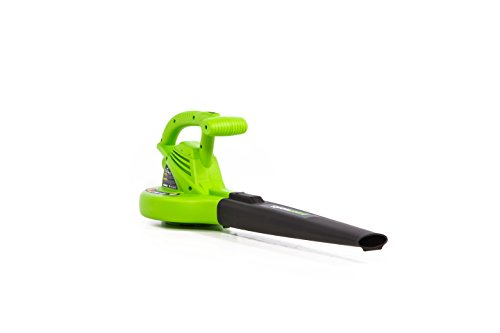 Greenworks Tools 263983 160 mph Amp Electric Leaf Blower