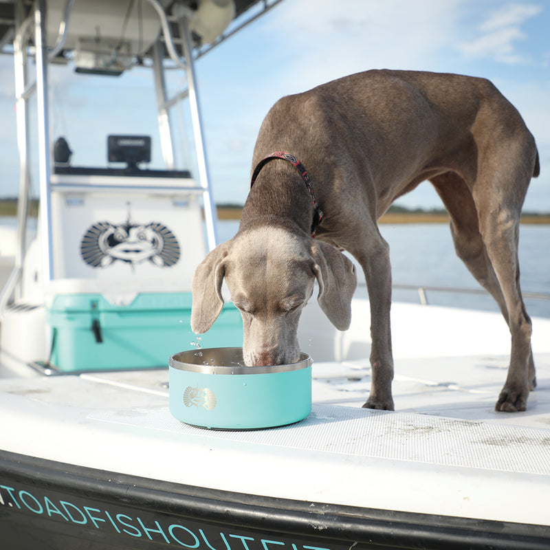 Toadfish Non-tipping Dog Bowl