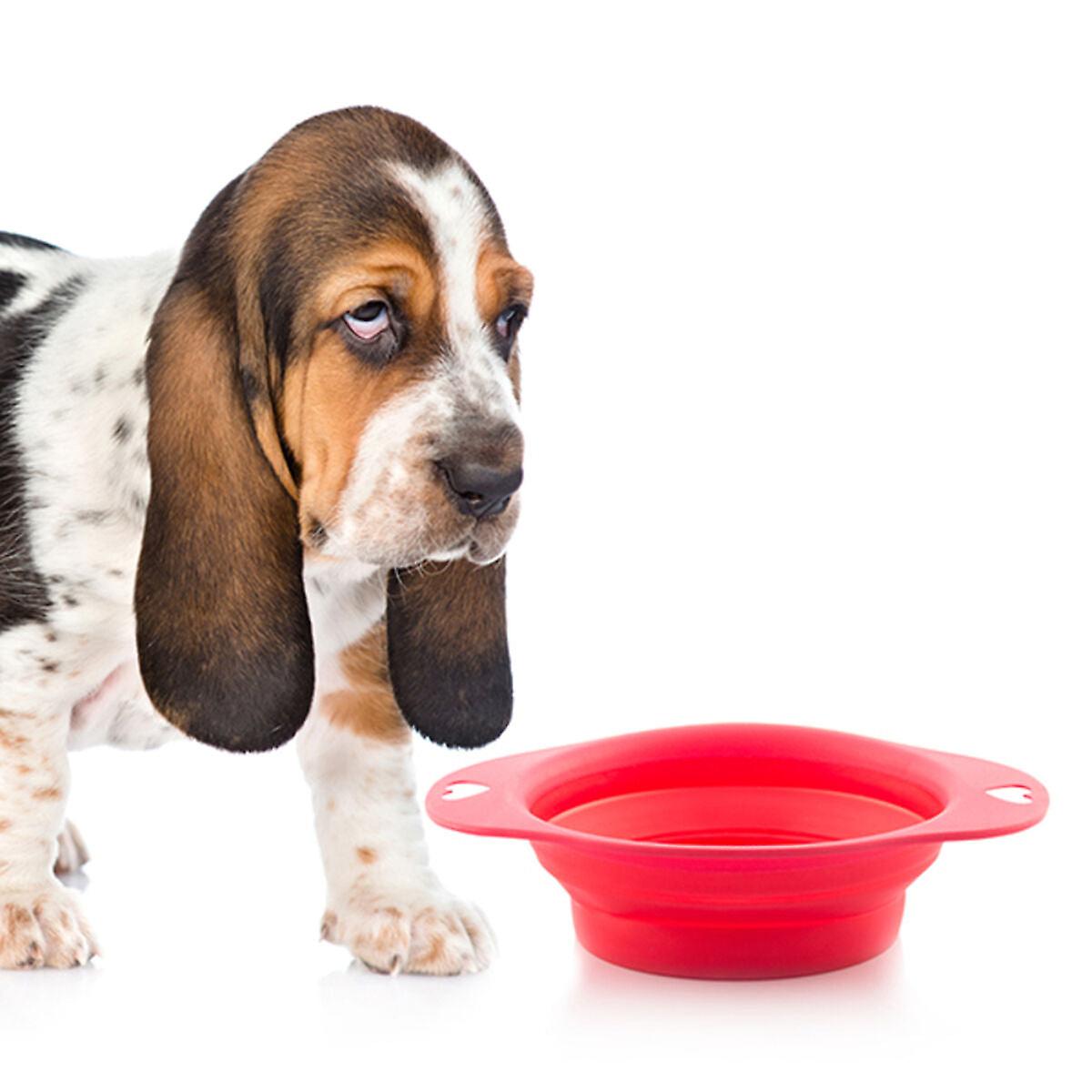 Folding pet bowl heart