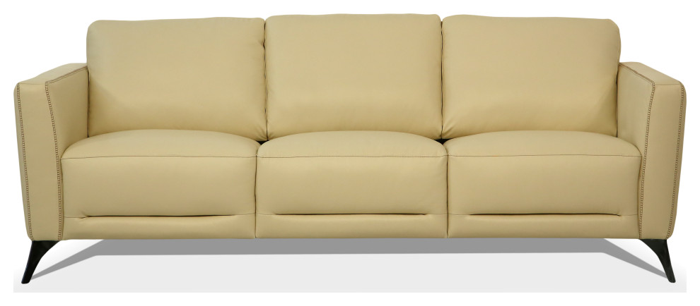 ACME Malaga Sofa   Midcentury   Sofas   by Acme Furniture  Houzz