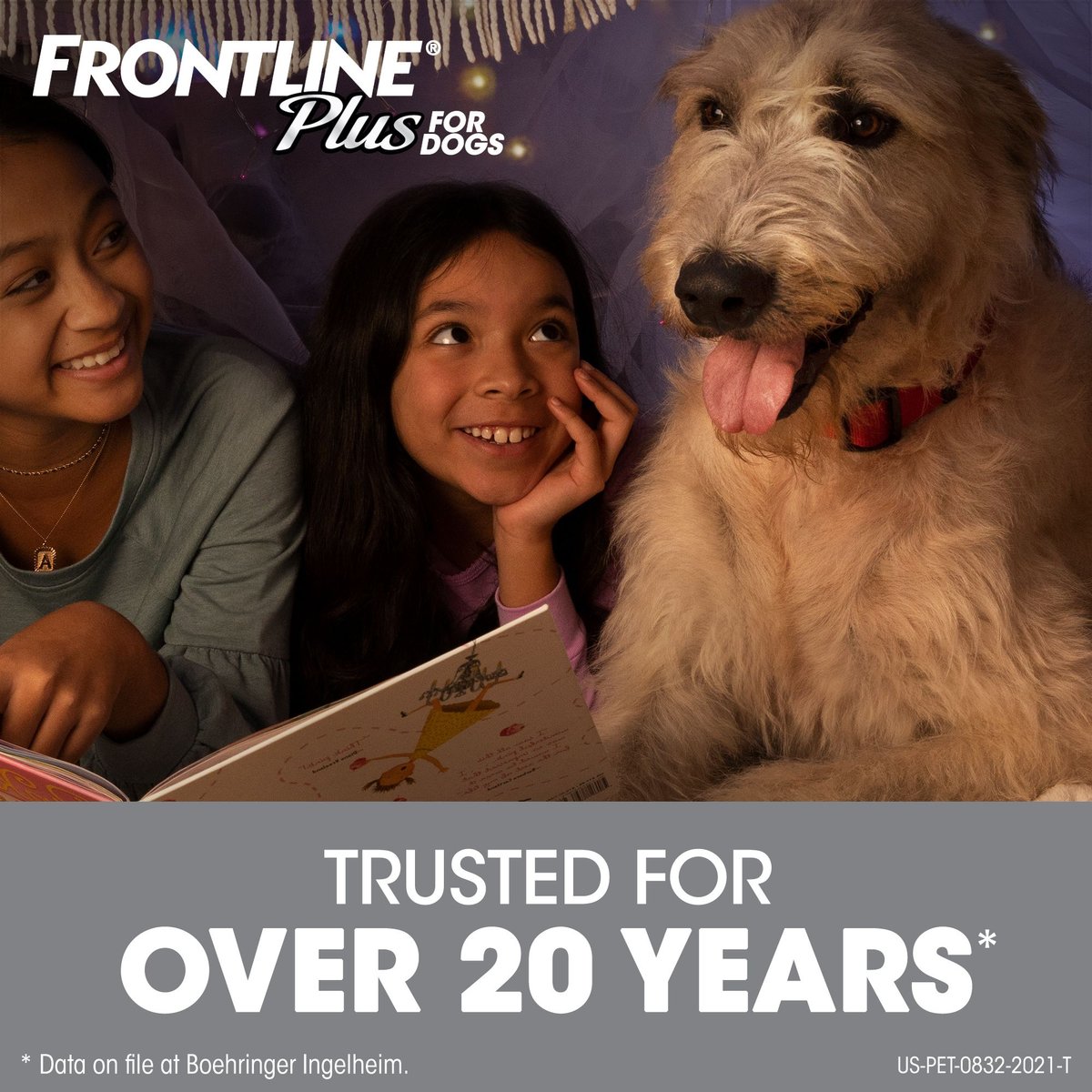 Frontline Plus Flea and Tick Spot Treatment for Extra Large Dogs， 89-132 lbs