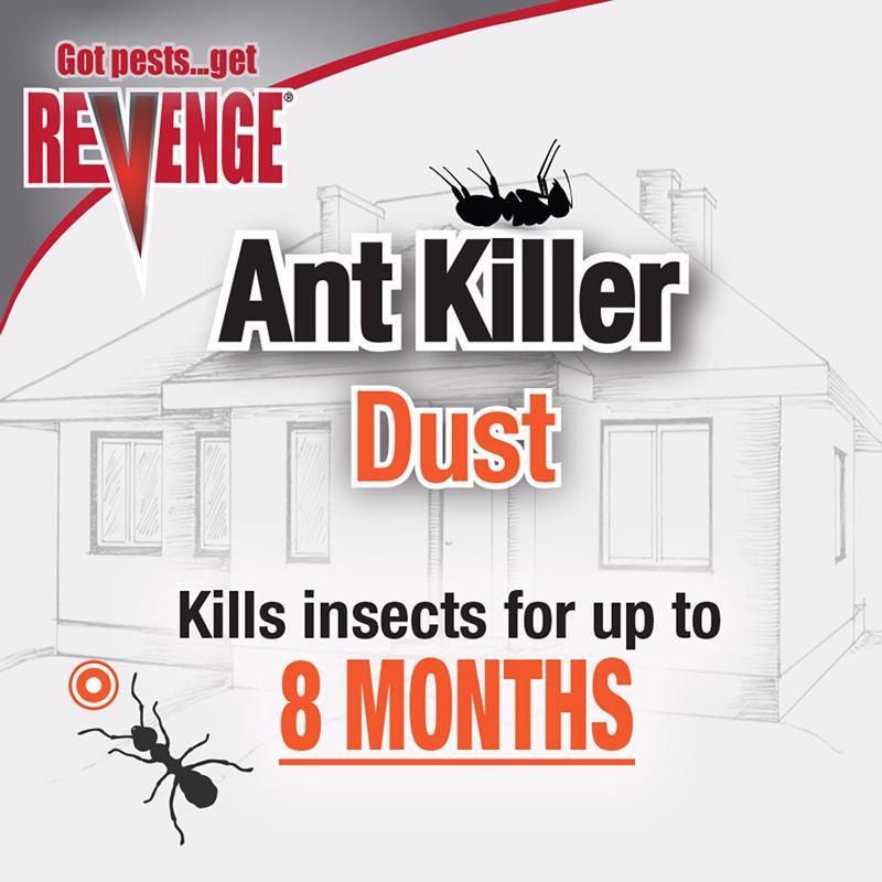 ANT KILLER DUST 1LB