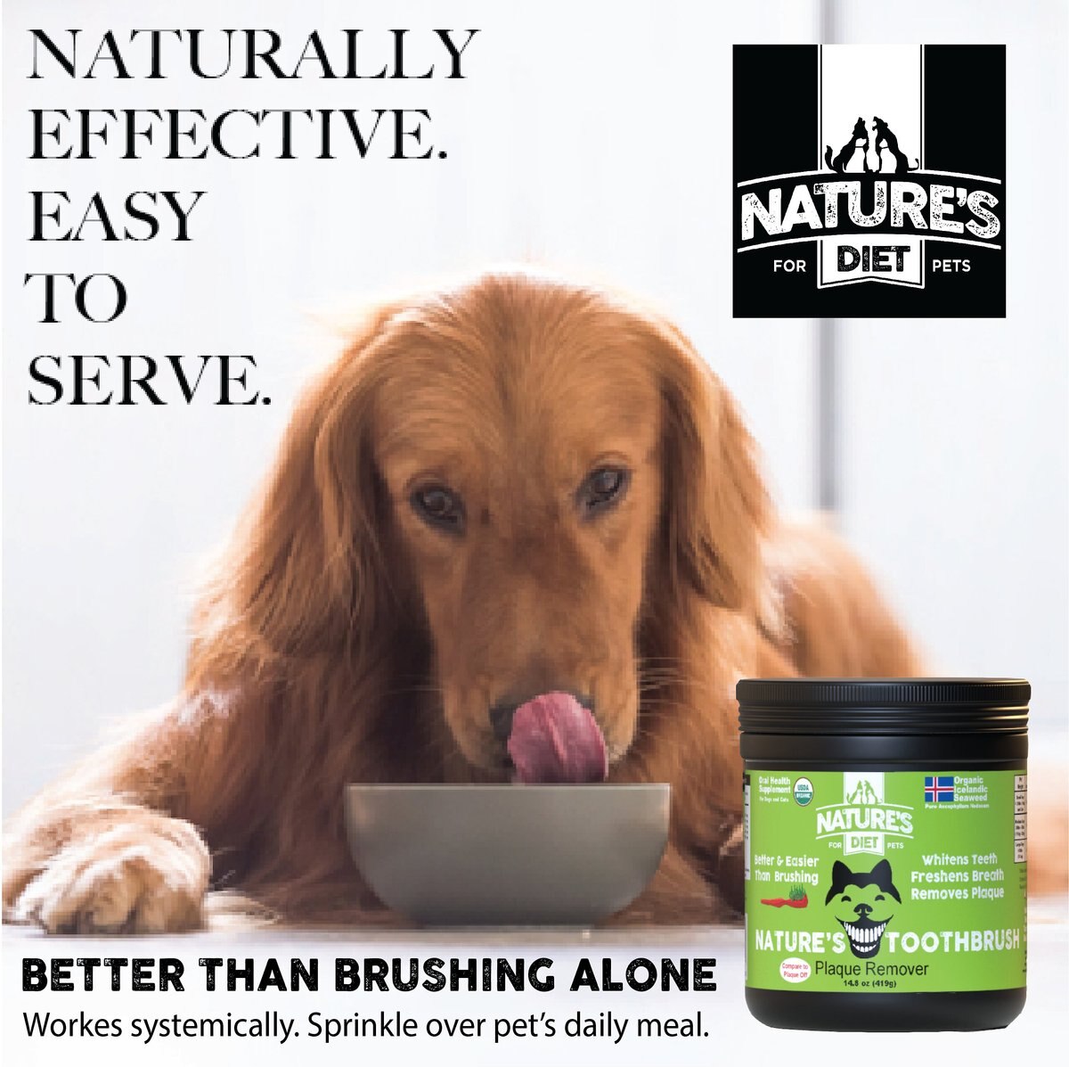 Nature's Diet Toothbrush Systemic Plaque Remover Dry Dog Food Topping， 14.8-oz jar