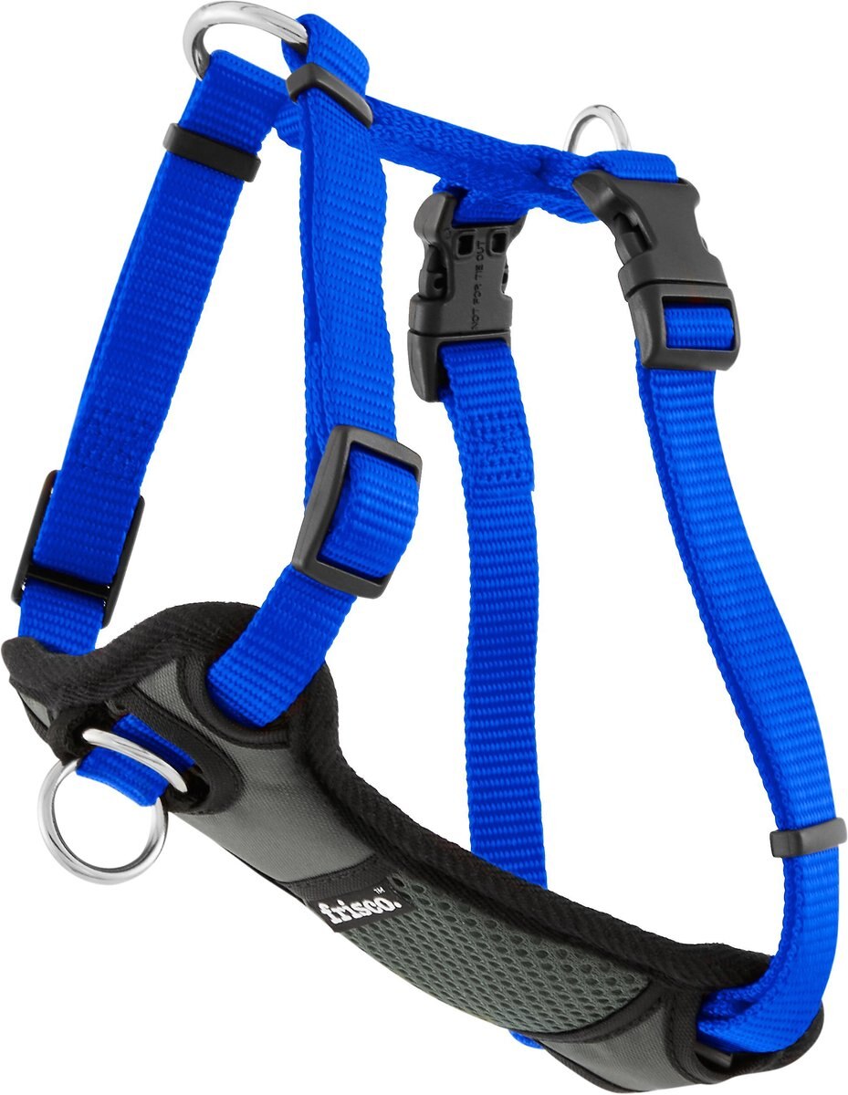 Frisco Padded Nylon No Pull Dog Harness