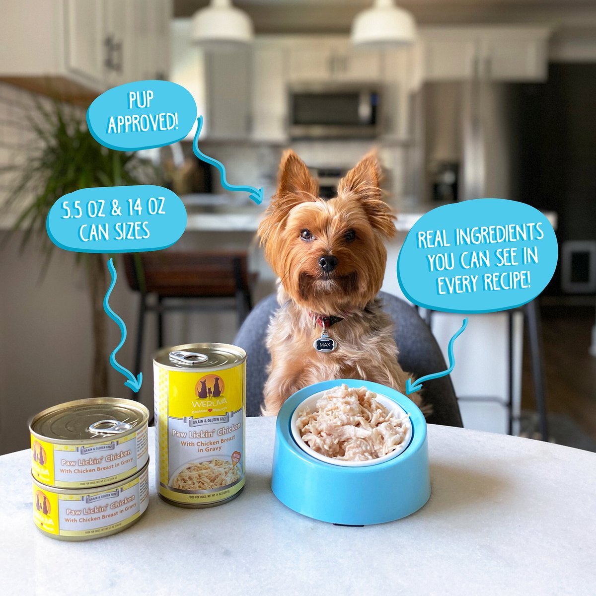 Weruva Paw Lickin' Chicken in Gravy Grain-Free Canned Dog Food