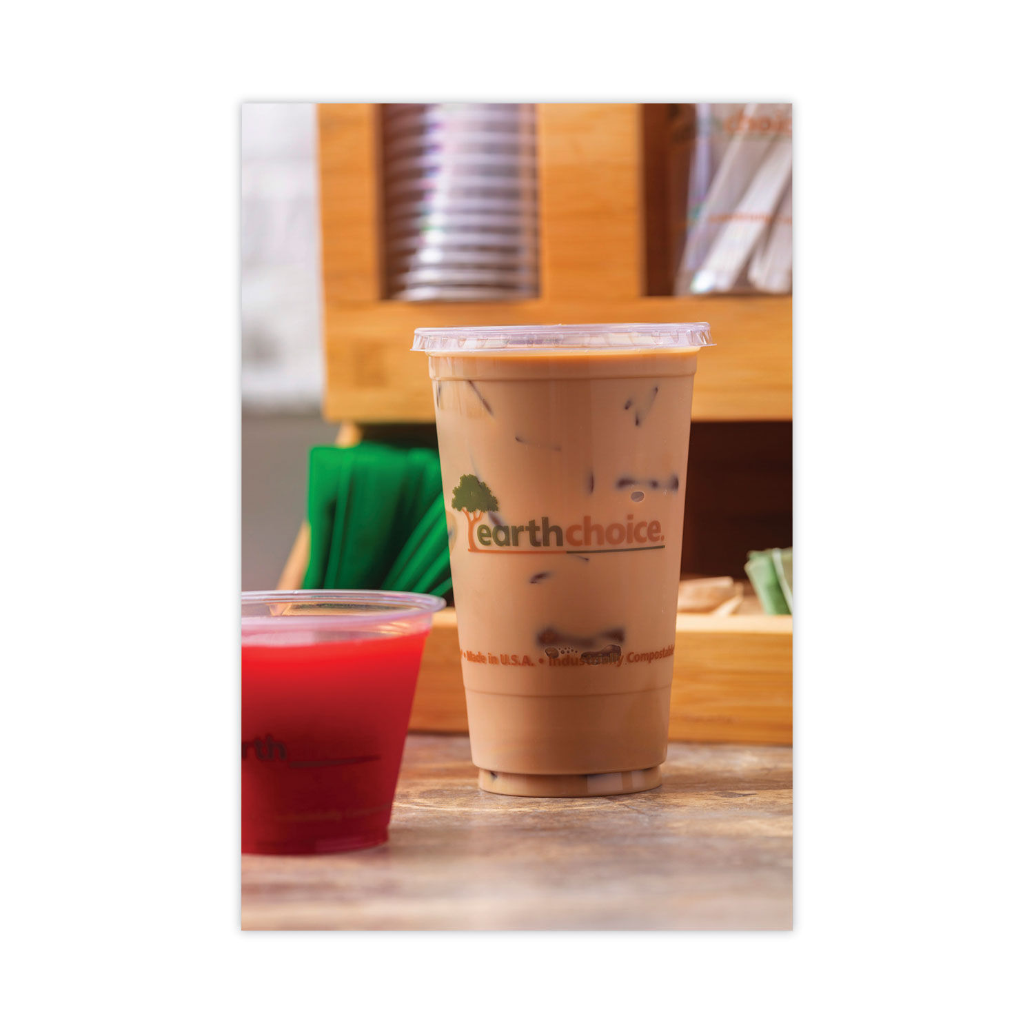 EarthChoice Compostable Cold Cup by Pactiv PCTYPLA24CEC