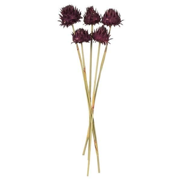 Vickerman 15 Violet Artichoke Head attached to a Reed Stem，Dried