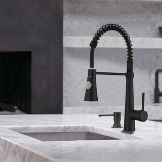 Boyel Living Black Stainless Steel Faucet Single-Handle Faucet Pull-Down Sprayer Kitchen Faucet BM2008B