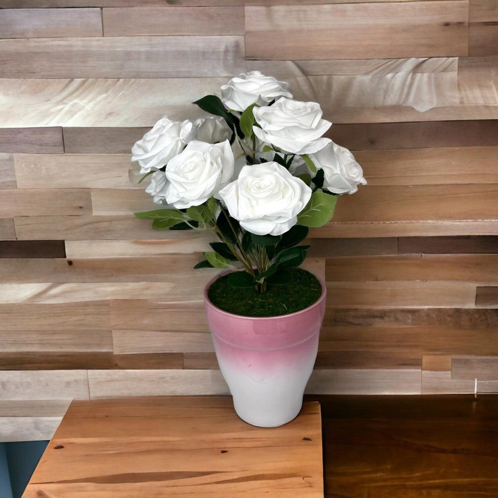 Gorgeous Roses in Ceramic Pot