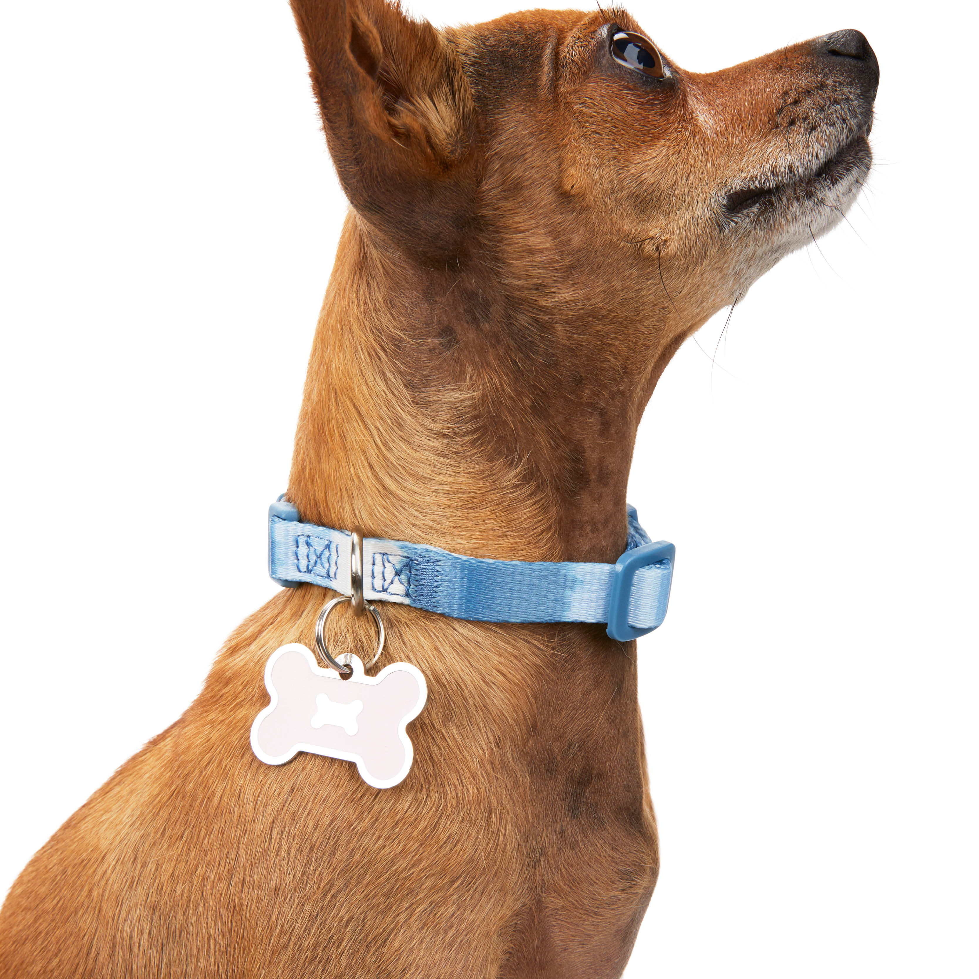 YOULY The Artist Blue Striped Small Dog Collar， XX-Small/X-Small