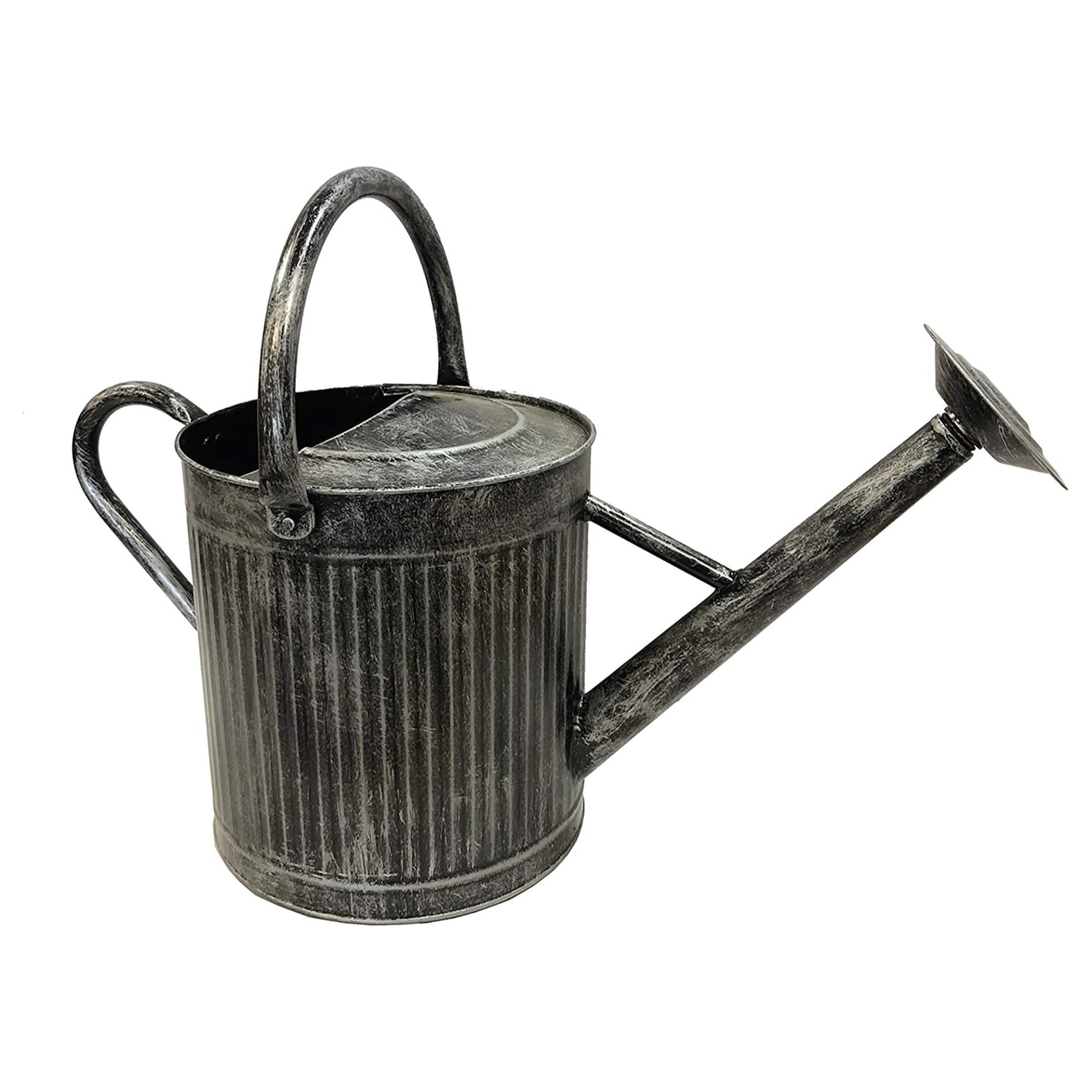 Gardener Select Vertical Lines Metal Watering Can Silver w/ Black Wash (2.5 gal)