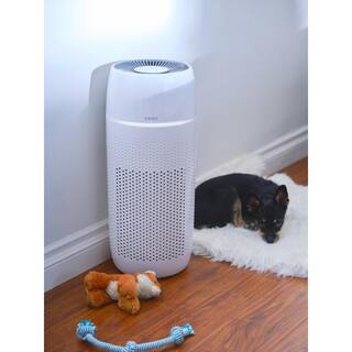 HoMedics PetPlus True Hepa Air Purifier with UV-C Technology AP-PET35-WT