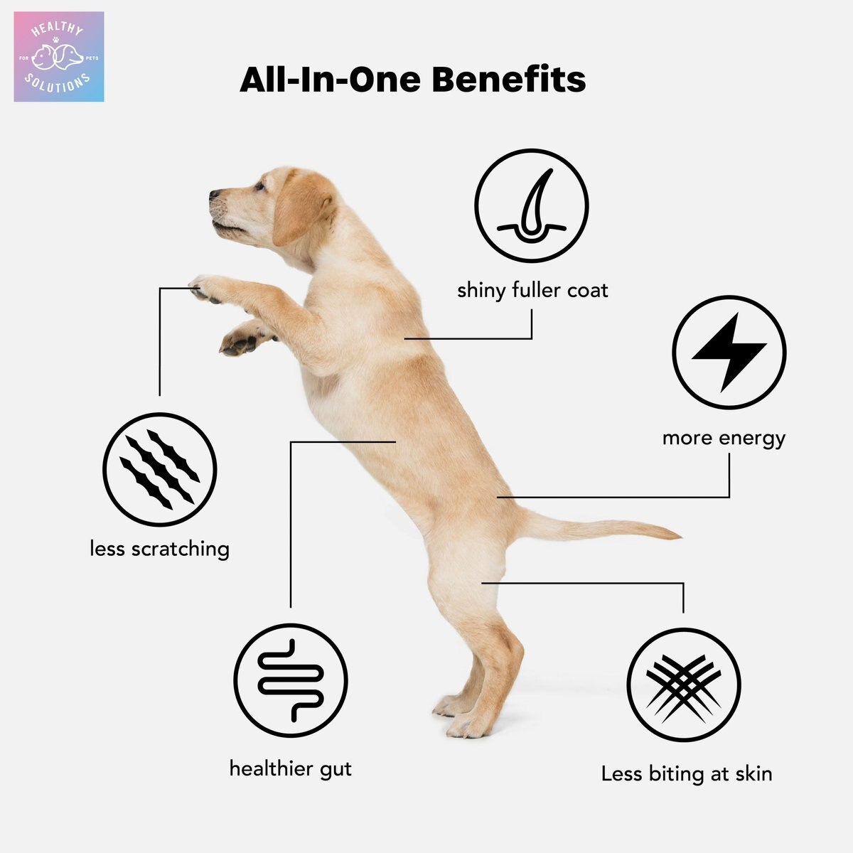 Healthy Solutions for Pets All-in-One Vitamins Supplement for Dogs