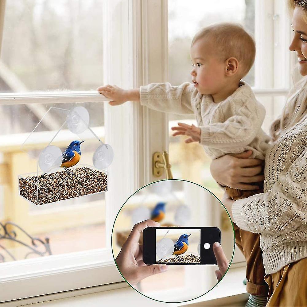 Window Bird Feeder For Outside With Strong Suction Cups