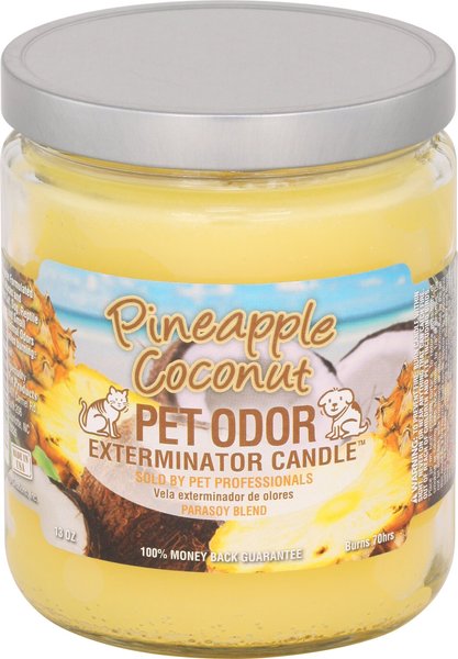 Pet Odor Exterminator Pineapple Coconut Deodorizing Candle