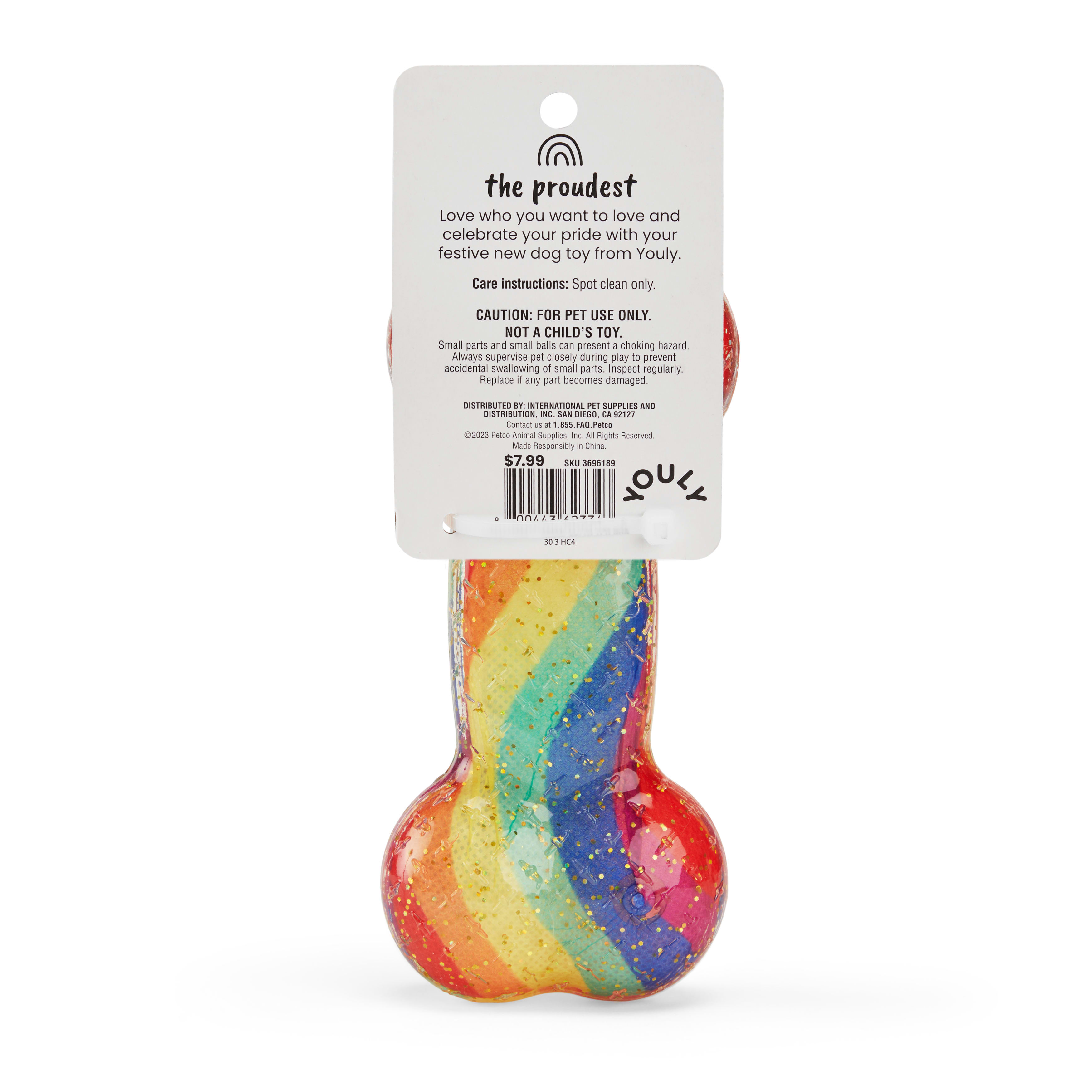 YOULY Rainbow TPR Bone Dog Toy， Small