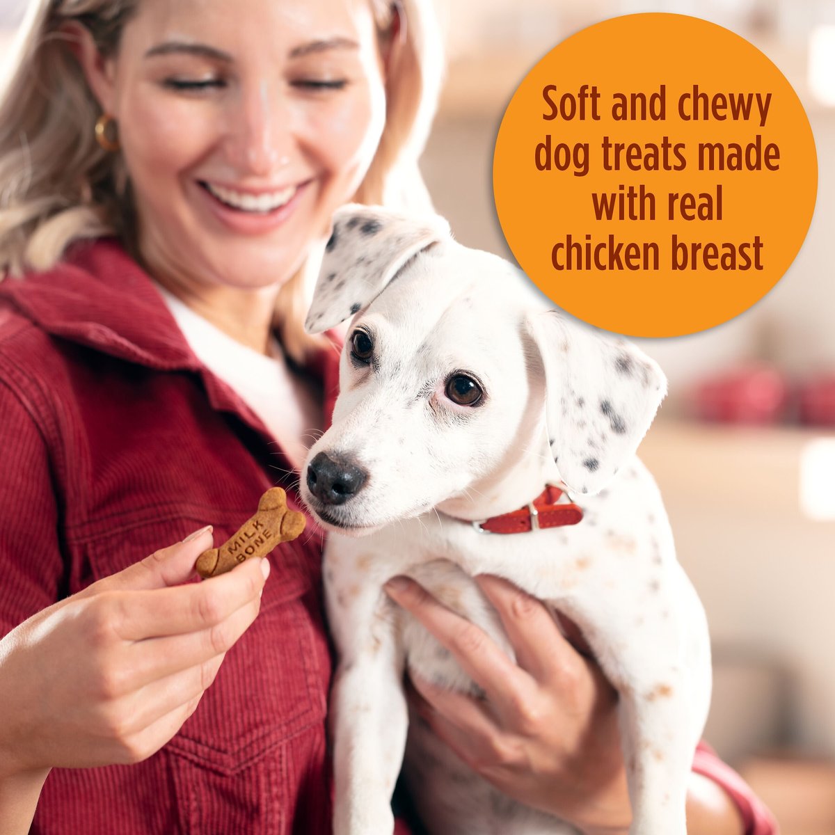 Milk-Bone Soft and Chewy Chicken Recipe Dog Treats