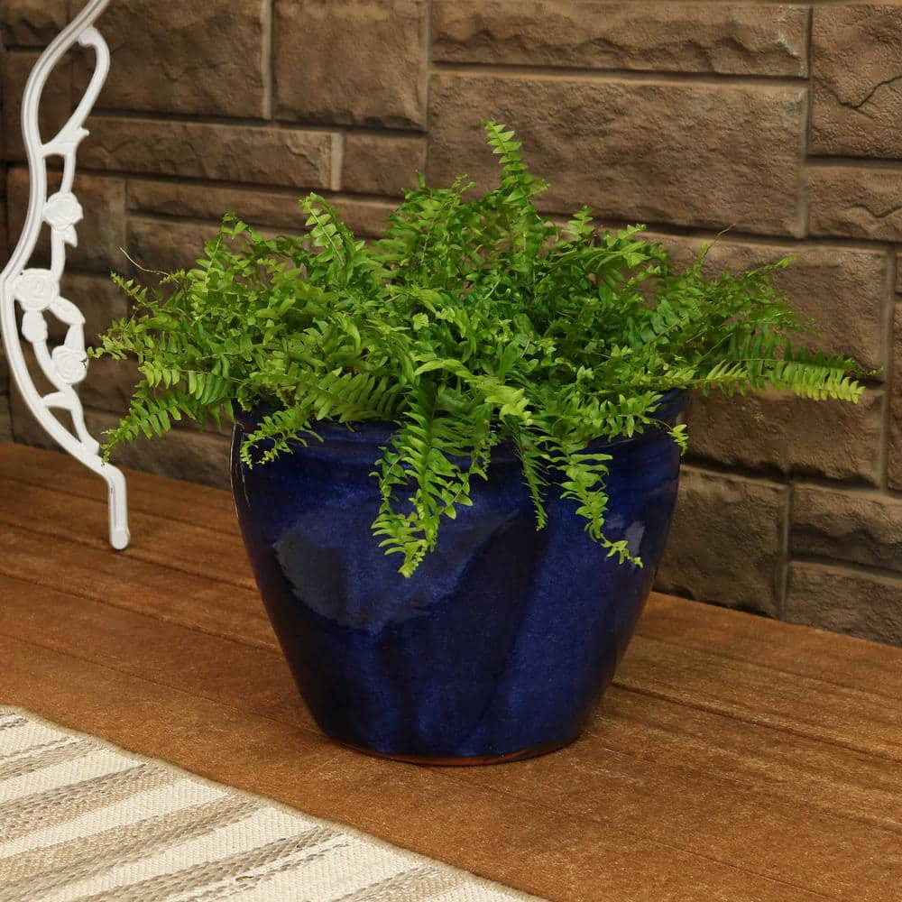 Sunnydaze Chalet 15 in. Blue Ceramic IndoorOutdoor Planter AP-827