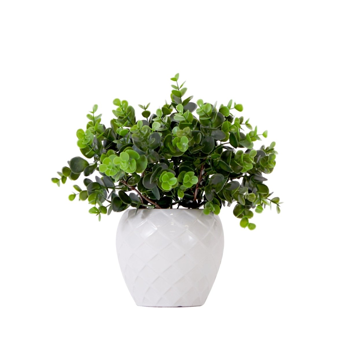 11” Artificial Boxwood Plant | Decorative Planter Accent