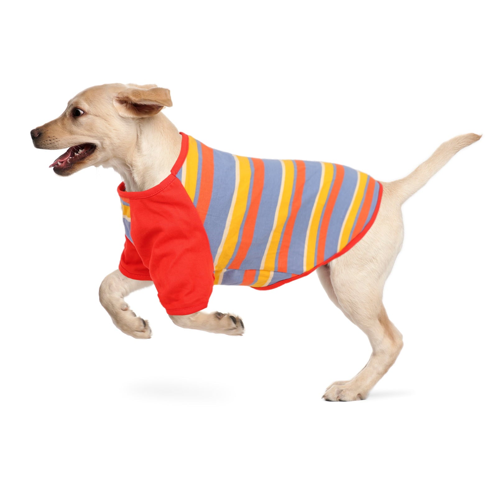 Preferhouse Dog Shirt Lightweight Stretchy Soft Cool Breathable Apparel Colourful Stripe Clothes for Small Medium large Dogs Puppy