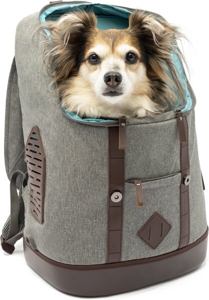 Kurgo K9 Rucksack Dog and Cat Carrier Backpack， Heather Gray