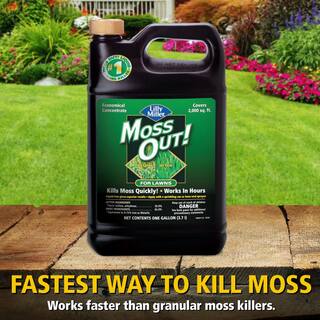 Moss Out! 1 Gal. Moss Out! Moss Killer for Lawns 100099156