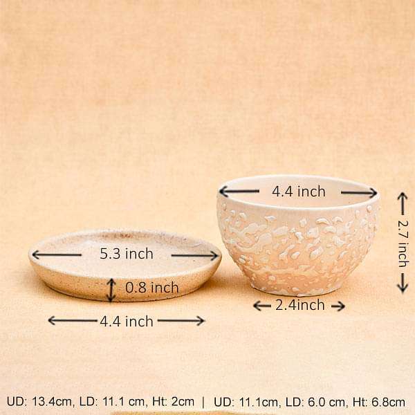 4.4 inch (11 cm) CP015 Embossed Bowl Round Ceramic Pot With Plate (Beige)