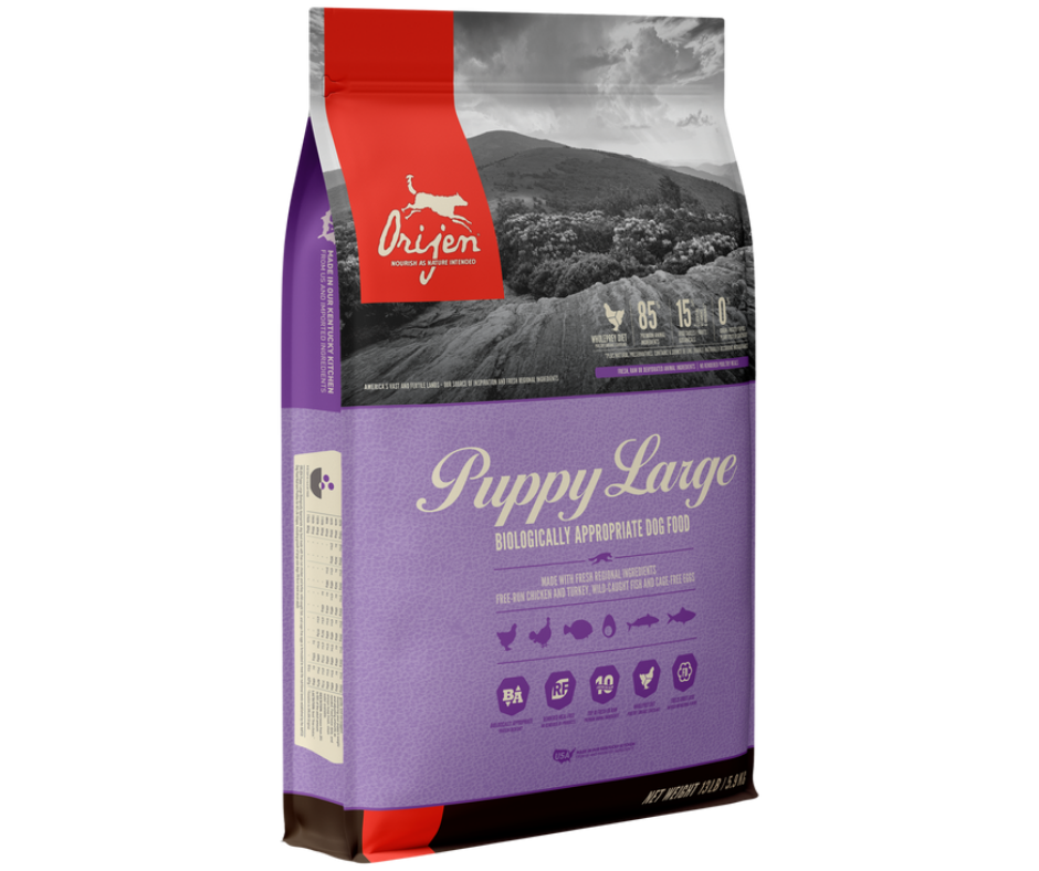 Champion Petfoods Orijen - Large Puppy Recipe Dry Dog Food