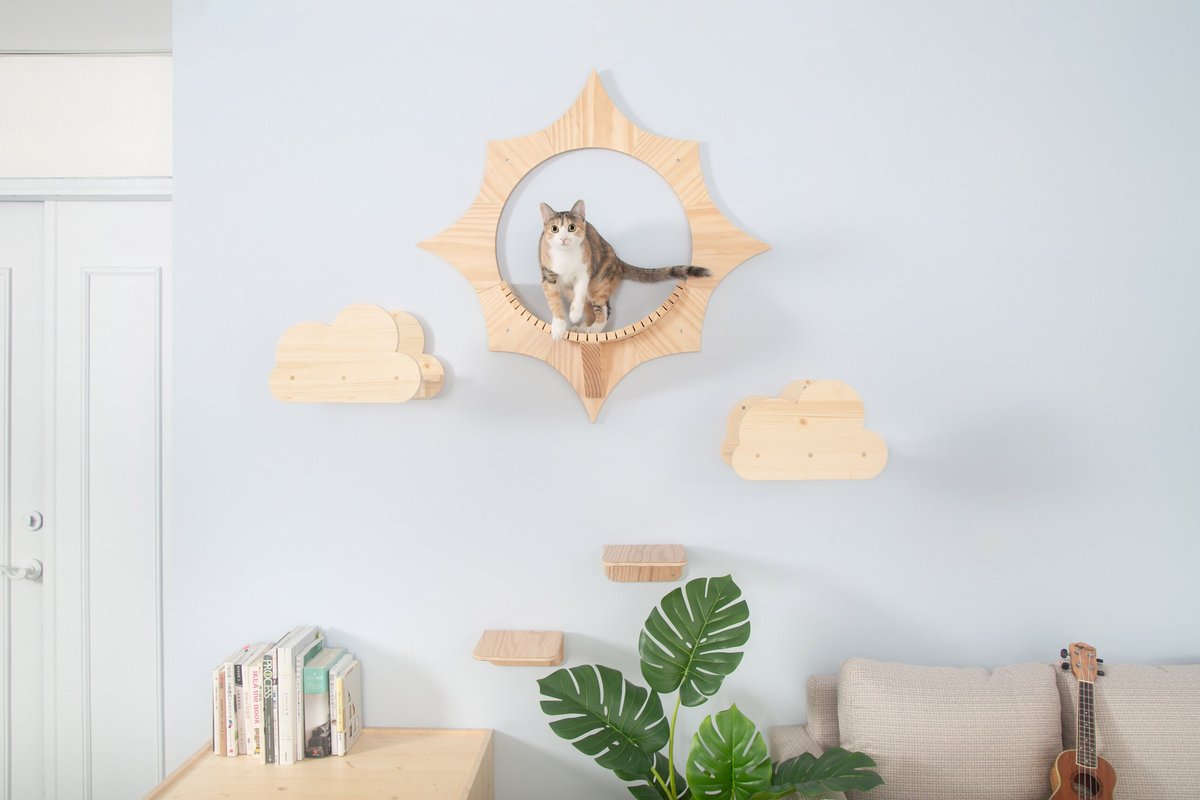 MyZoo Solar Wall Mounted Cat Shelf