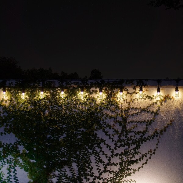 Alpine Corporation 93L Indoor/Outdoor 10 Edison Bulb Hanging String Lights with Timer