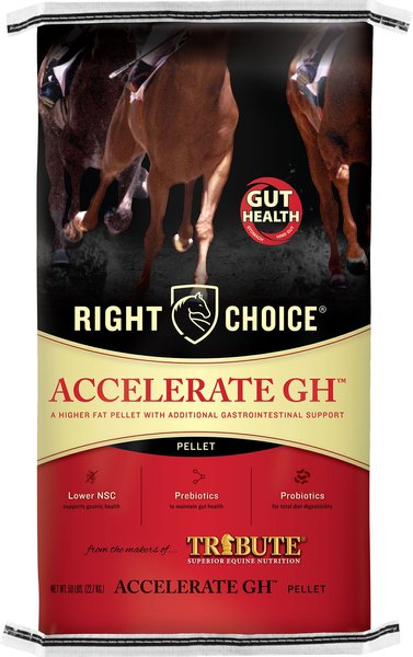 Right Choice Accelerate GH Gut Health Horse Feed