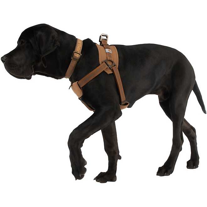 Carhartt Dog Walking Harness