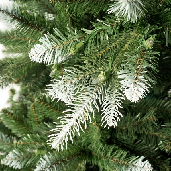 Alberta White Tip Christmas Tree with Lights，Prelit Christmas Tree，Pine Fir with Led Lights，White Painted Tips