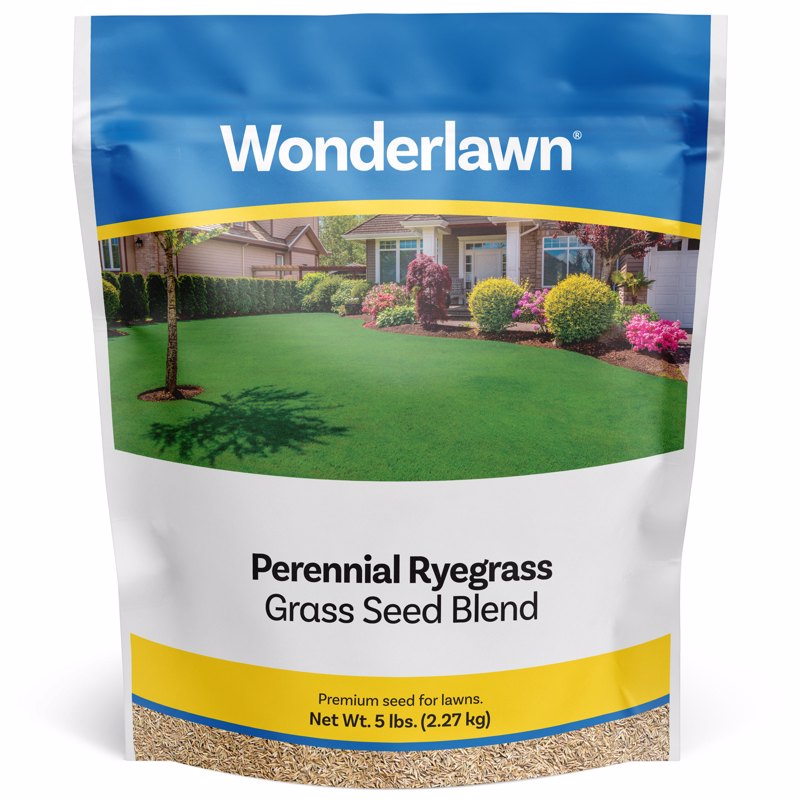 RYEGRASS SEED PEREN 10LB