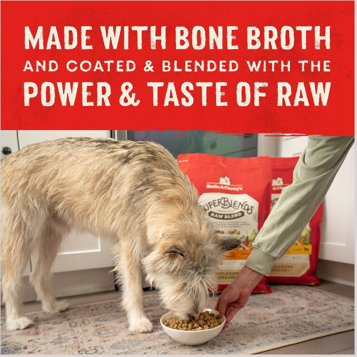 Stella and Chewy's SuperBlends Raw Blend Wholesome Grains Wild-Caught Whitefish and Salmon Recipe with Superfoods Dry Dog Food