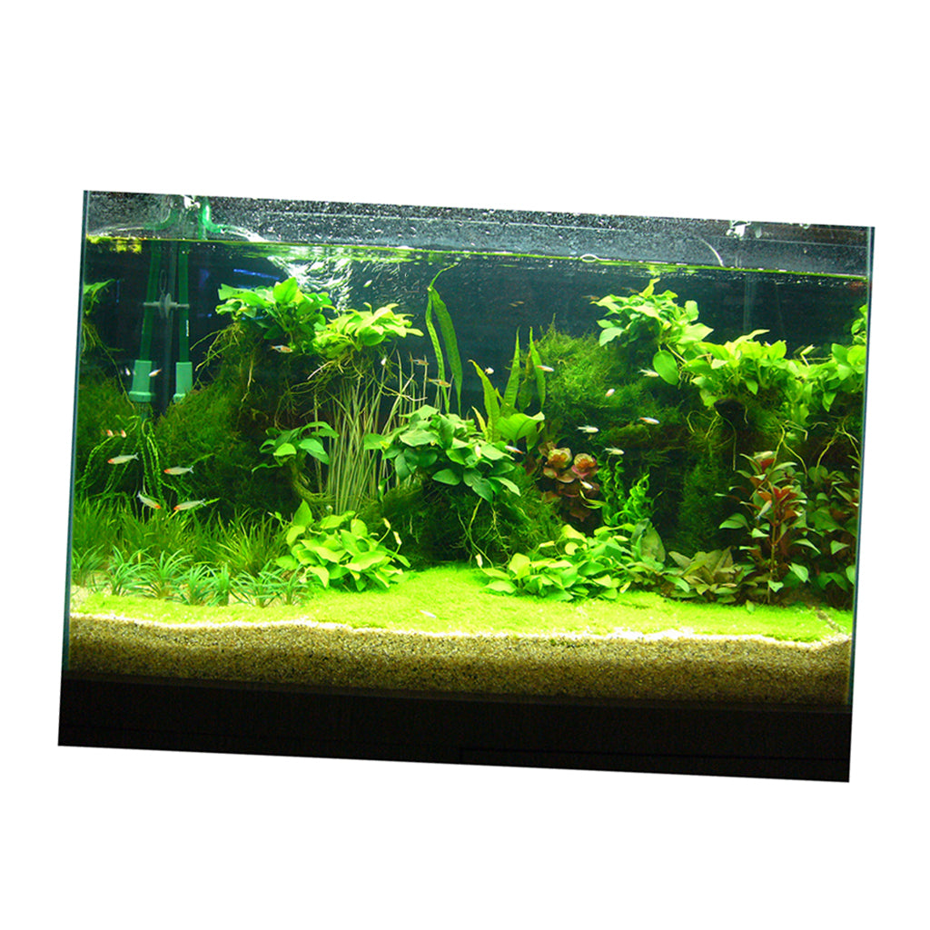 Attractive 3D Plants Image Aquarium Background Poster/Fish Tank Landscape - 61x30cm