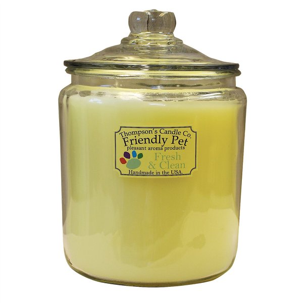 Thompson's Candle Co. Fresh and Clean Scented Friendly Pet Heritage Jar 3 WickCandle