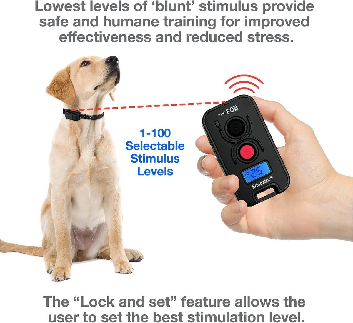 Educator FE-560B with Finger Button Dog Remote Training System， Black