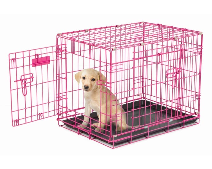 Puppy Crate 2 Door Training Retreat 24 Inch， Pink - 10001073