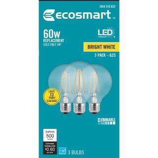 EcoSmart 60-Watt Equivalent G25 Dimmable ENERGY STAR Clear Glass Filament Vintage Edison LED Light Bulb Bright White (3-Pack) FG-03236