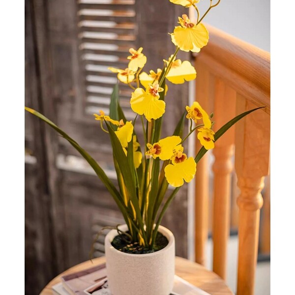 RusticReach Potted Faux Dancing Lady Orchid